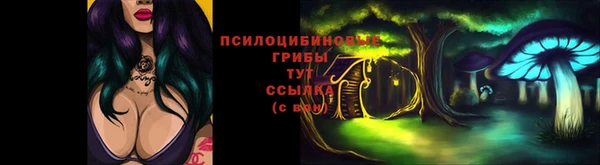 мет Гусев