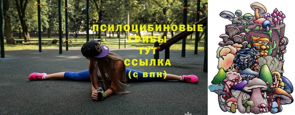 молекула духа Горно-Алтайск