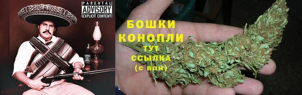 прущие крисы Гусь-Хрустальный